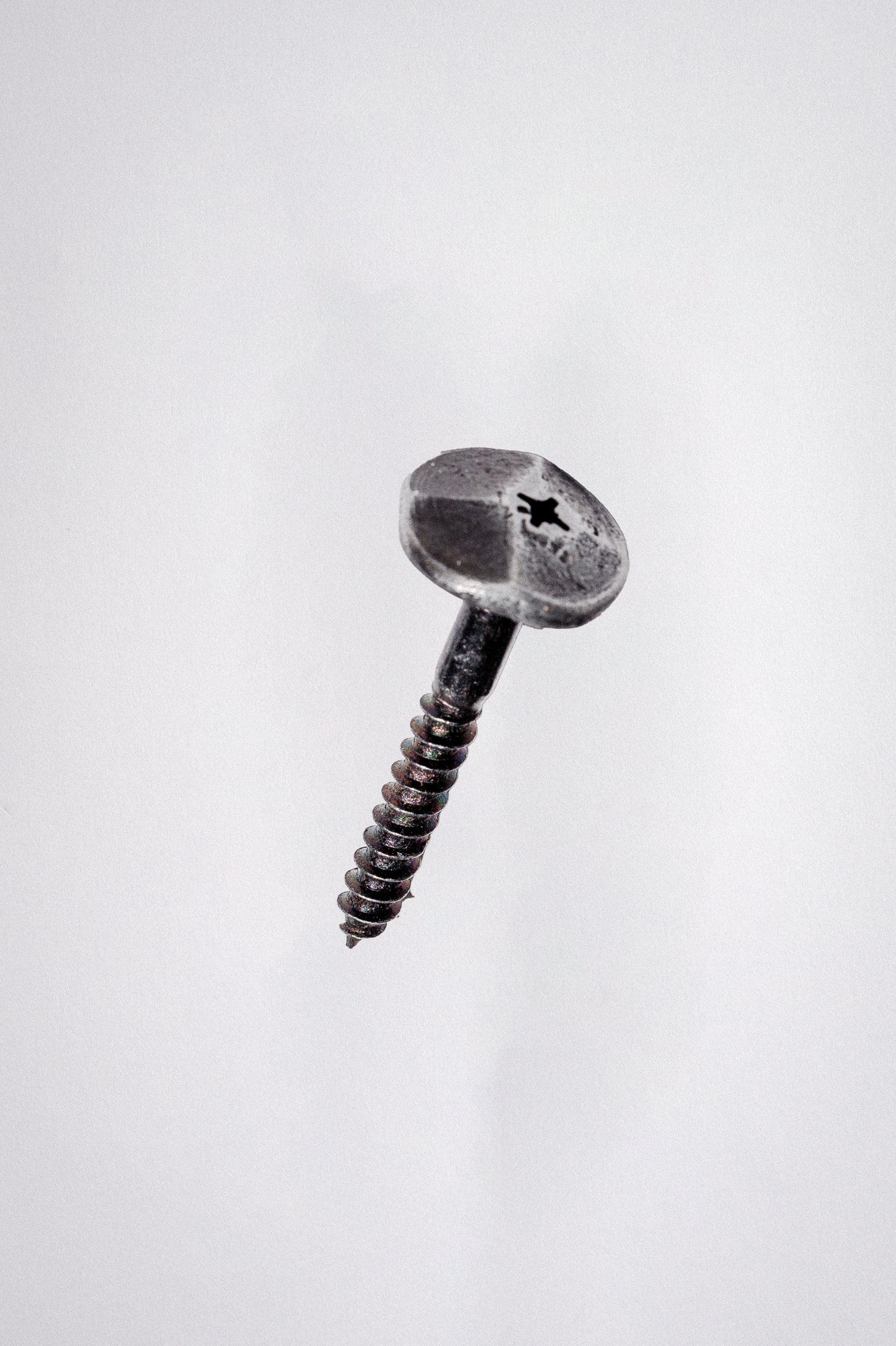 Forged long shoehorn with wall screw