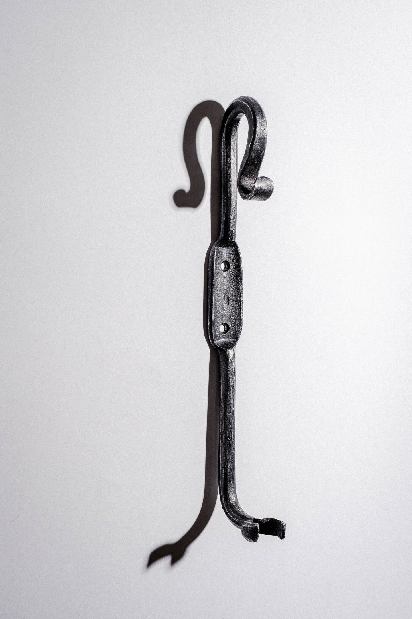 Shoehorn with holder