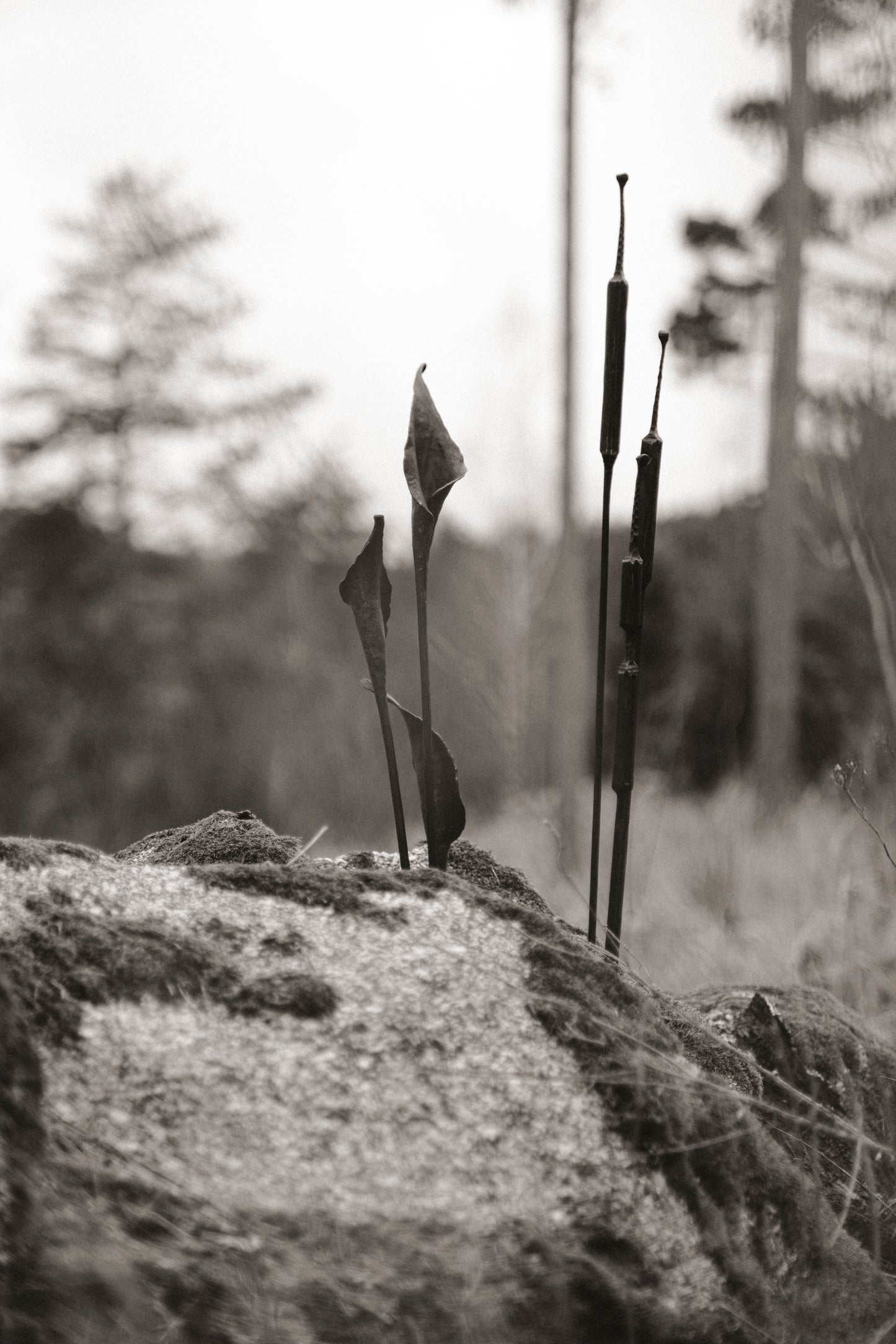 Kovaná květina "Calla"