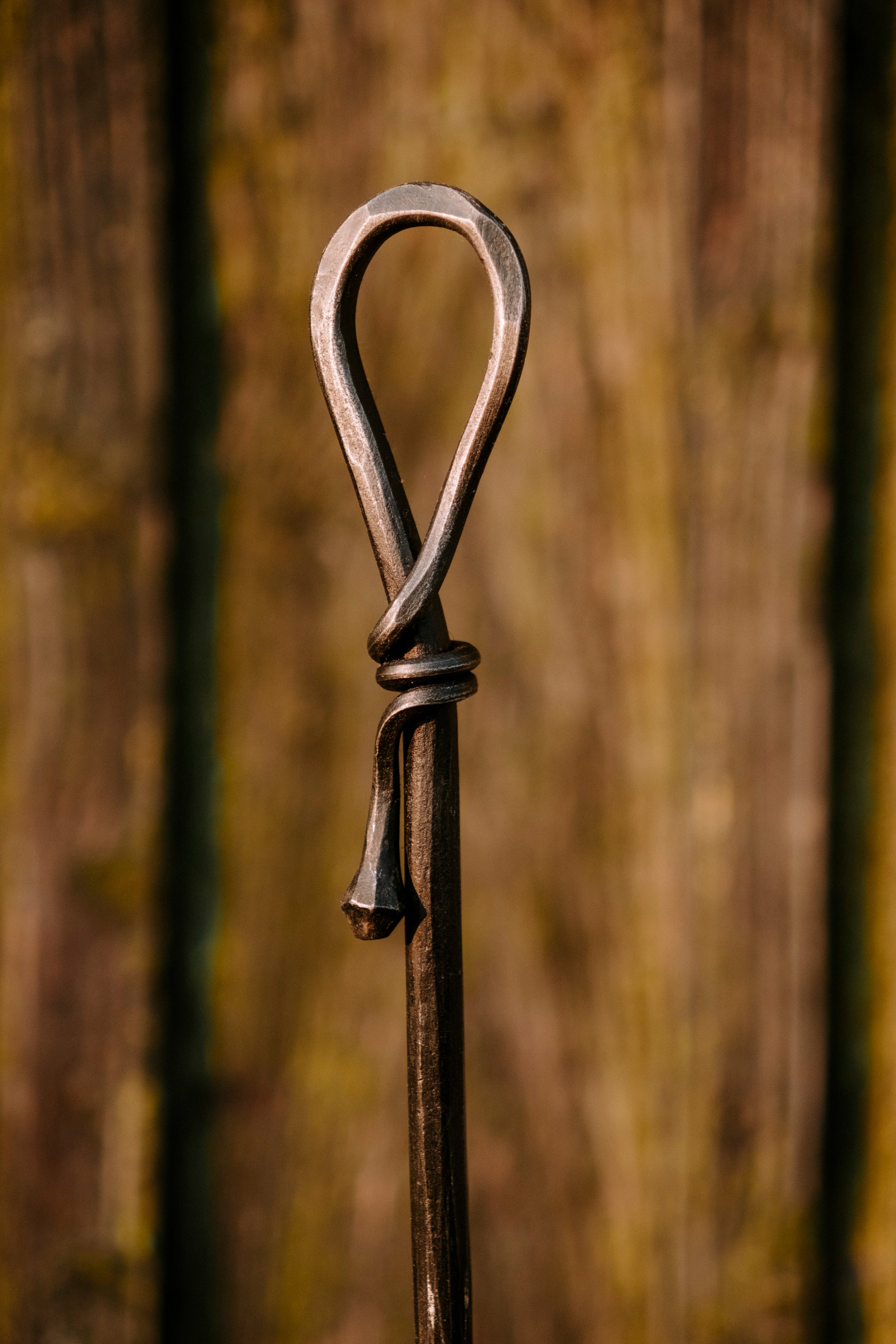 Forged long shoehorn with wall screw