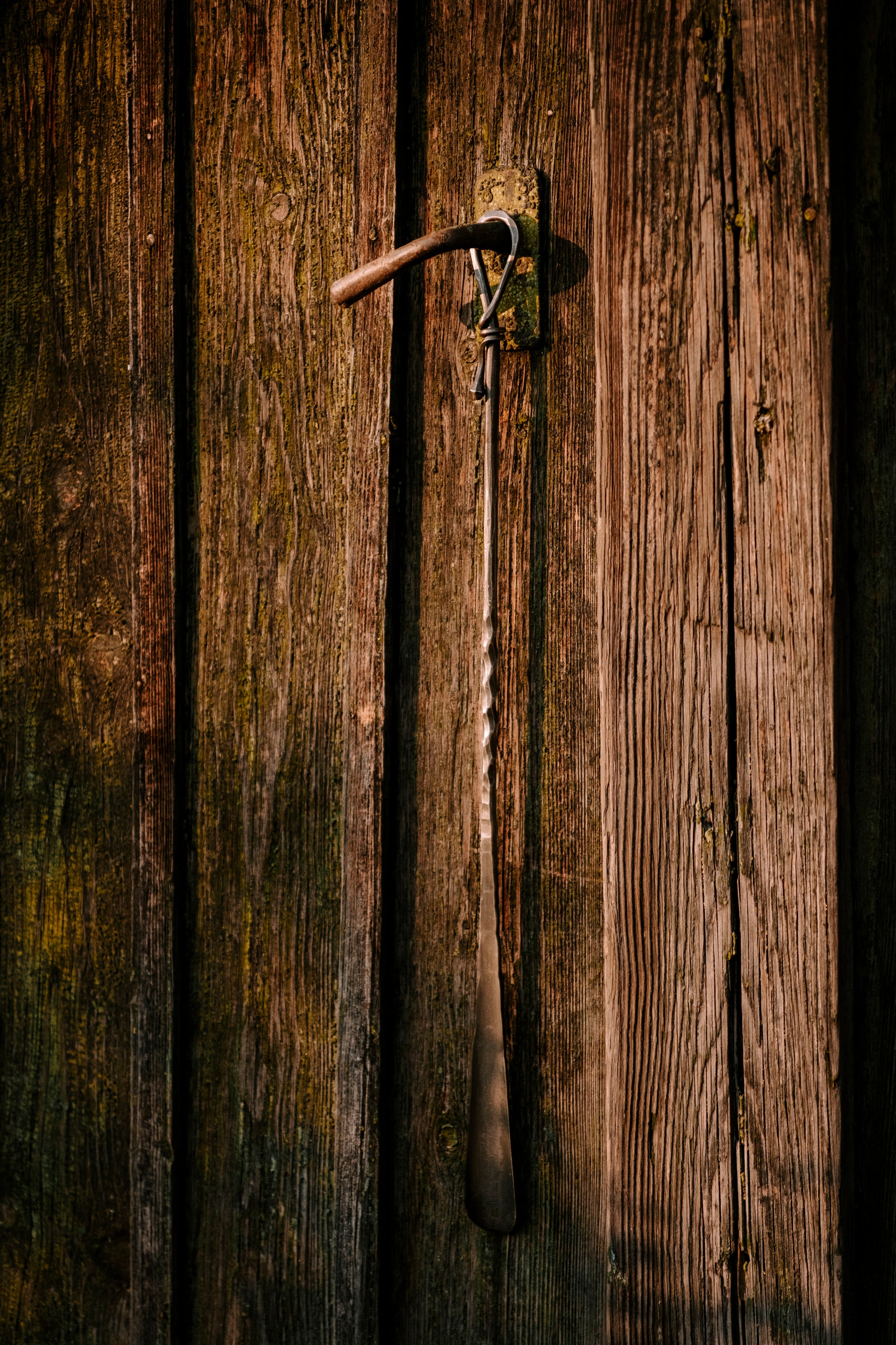 Forged long shoehorn with wall screw