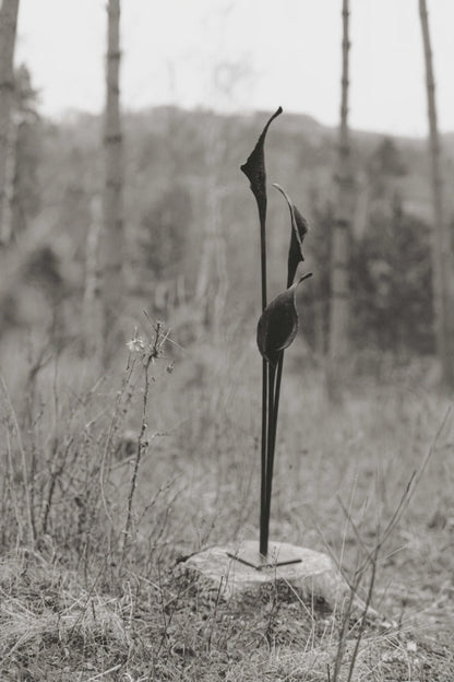 Kovaná květina "Calla"